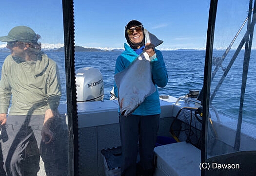 The boat action wasn't just about skiing. We harvested a few gallons of shrimp, and Lisa hauled in this Alaskan chicken, otherwise known as a halibut. We bunked both nights in a USFS public cabin. Guess what we ate for dinner.