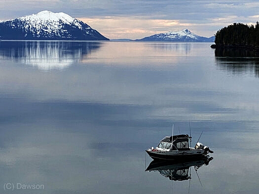 Flightseeing Denali under a bluebird sky, shrimp&ski on Prince William Sound. I'll take either. With the help of boat owner Alex and our son Louie, we hit the island peaks shown above. Bite sized for Alaska, about 1,700 vertical feet with sea level O2.